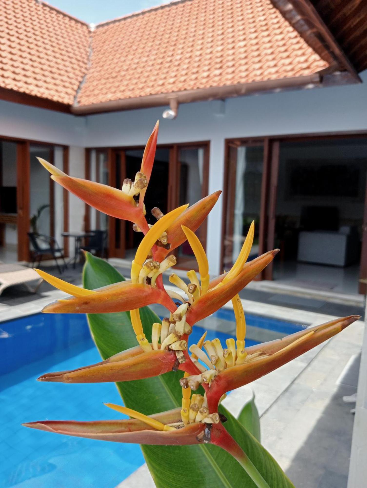 Pondok Indah Villa Ujung Exterior photo